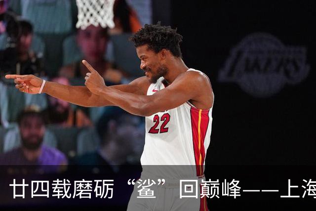 廿四载磨砺“鲨”回巅峰——上海男篮夺冠之路