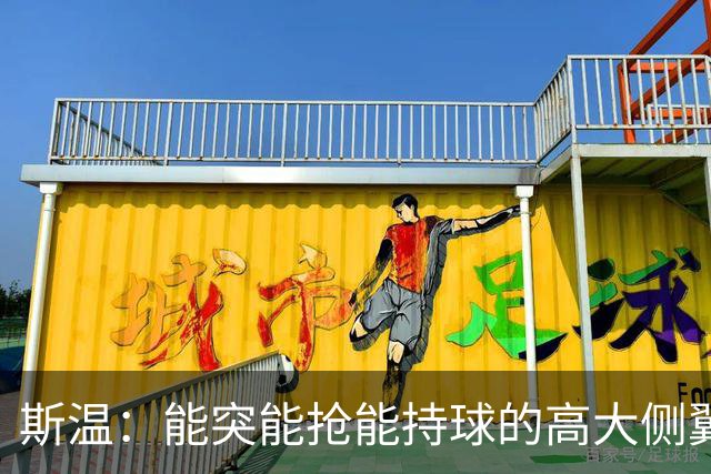 斯温：能突能抢能持球的高大侧翼 或是首轮末捡漏最佳选择？