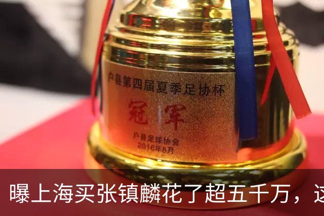曝上海买张镇麟花了超五千万，这相当于一支球队整个赛季收入！